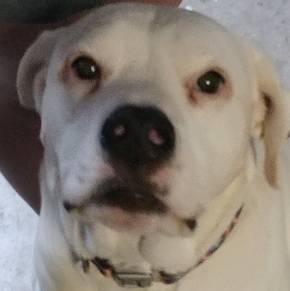 Meet your Posher, Marie